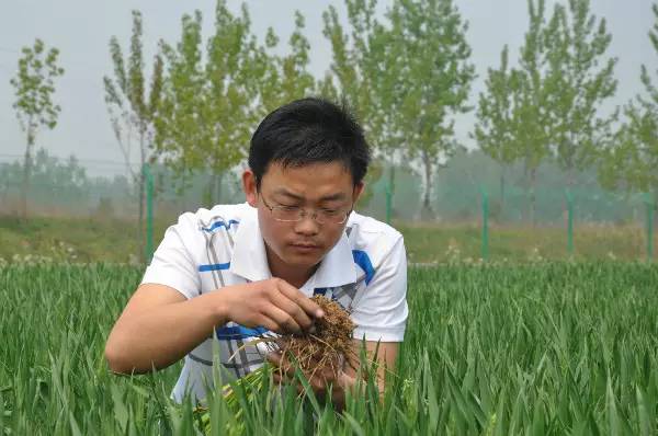 漯河青年 農(nóng)業(yè)信息咨詢領域的閃亮新星