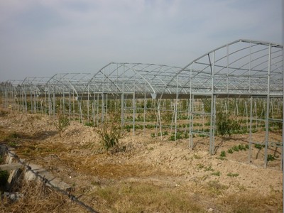 源農(nóng)溫室 專業(yè)溫室大棚銷售、安裝與維修服務